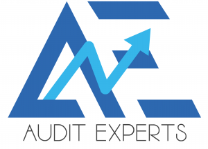 logo audit experts
